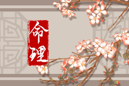 紫微星查询_紫微星生辰八字_元亨紫微排盘_新浪命盘查询_紫微星正缘很小